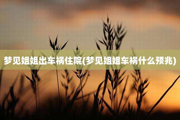 梦见姐姐出车祸住院(梦见姐姐车祸什么预兆)