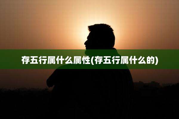存五行属什么属性(存五行属什么的)