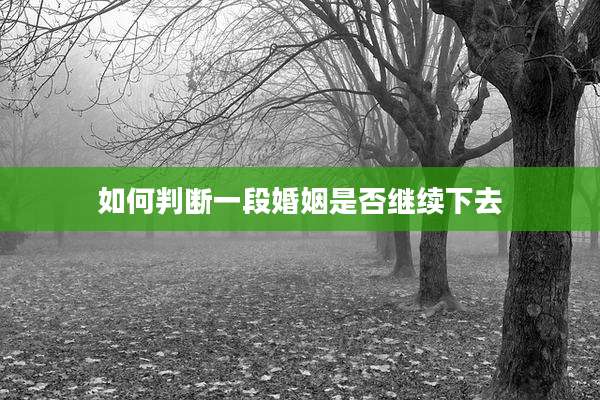 如何判断一段婚姻是否继续下去