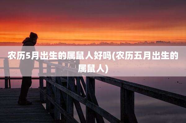 农历5月出生的属鼠人好吗(农历五月出生的属鼠人)