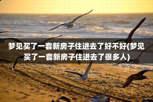 梦见买了一套新房子住进去了好不好(梦见买了一套新房子住进去了很多人)