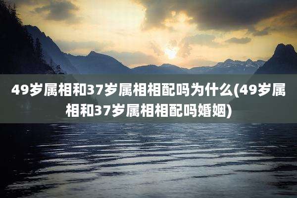 49岁属相和37岁属相相配吗为什么(49岁属相和37岁属相相配吗婚姻)