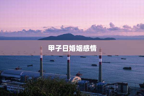 甲子日婚姻感情