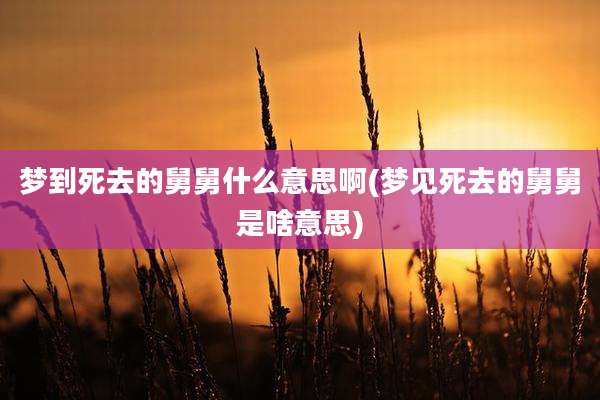 梦到死去的舅舅什么意思啊(梦见死去的舅舅是啥意思)