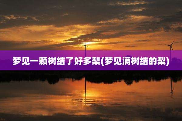 梦见一颗树结了好多梨(梦见满树结的梨)