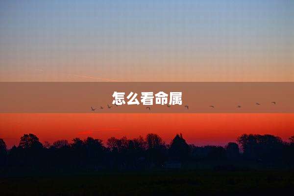 怎么看命属