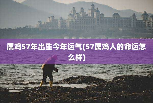 属鸡57年出生今年运气(57属鸡人的命运怎么样)