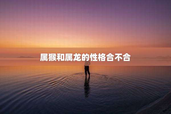 属猴和属龙的性格合不合