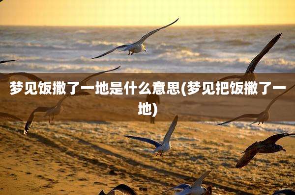 梦见饭撒了一地是什么意思(梦见把饭撒了一地)