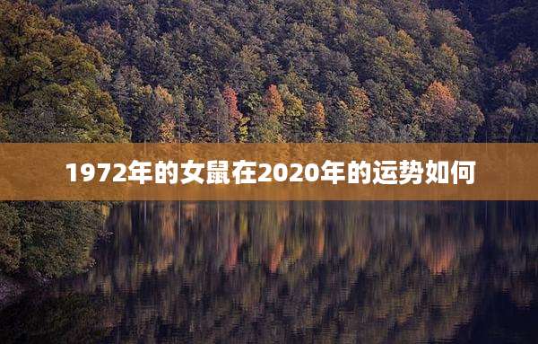 1972年的女鼠在2020年的运势如何