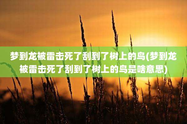 梦到龙被雷击死了刮到了树上的鸟(梦到龙被雷击死了刮到了树上的鸟是啥意思)