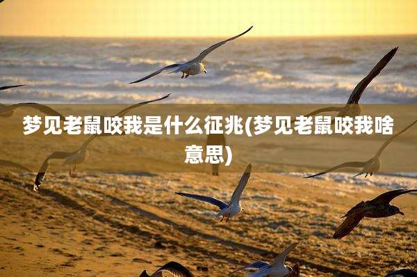 梦见老鼠咬我是什么征兆(梦见老鼠咬我啥意思)