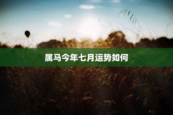 属马今年七月运势如何