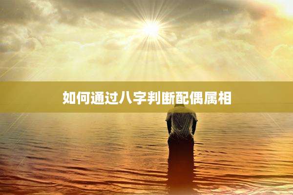 如何通过八字判断配偶属相