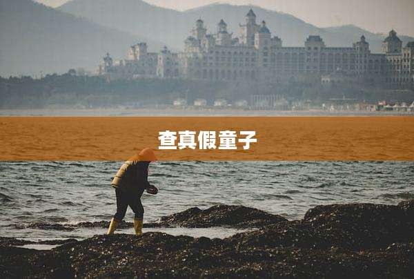 查真假童子
