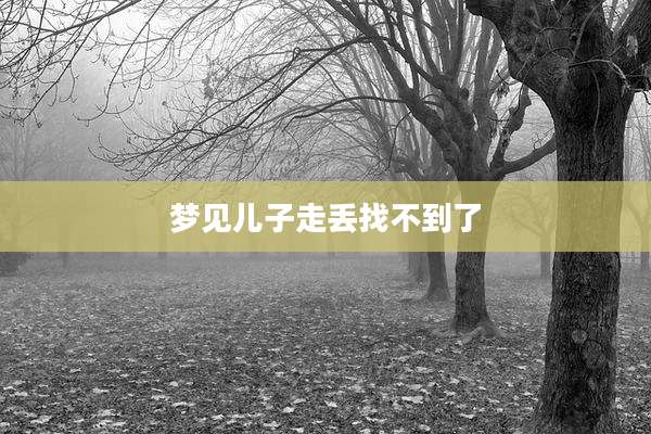 梦见儿子走丢找不到了