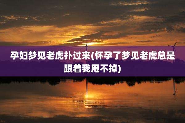 孕妇梦见老虎扑过来(怀孕了梦见老虎总是跟着我甩不掉)