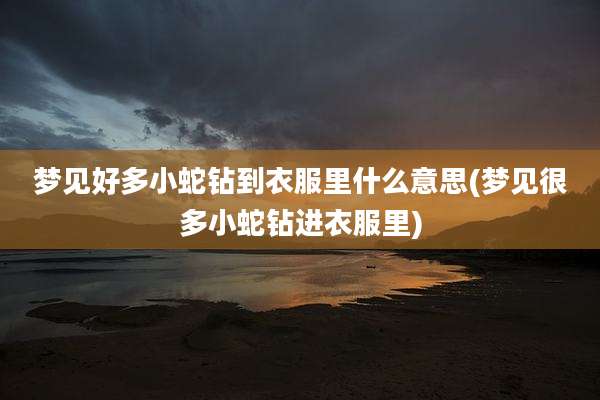 梦见好多小蛇钻到衣服里什么意思(梦见很多小蛇钻进衣服里)