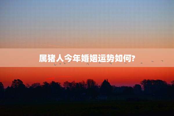 属猪人今年婚姻运势如何?