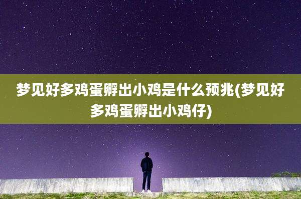 梦见好多鸡蛋孵出小鸡是什么预兆(梦见好多鸡蛋孵出小鸡仔)