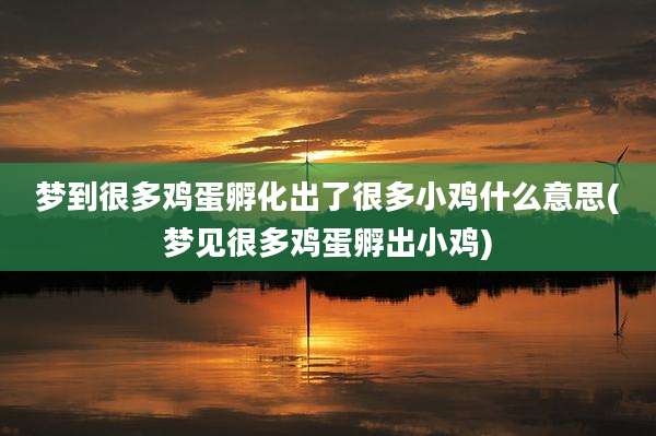 梦到很多鸡蛋孵化出了很多小鸡什么意思(梦见很多鸡蛋孵出小鸡)