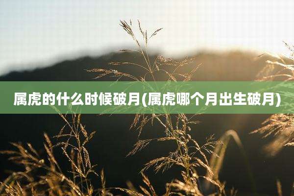 属虎的什么时候破月(属虎哪个月出生破月)