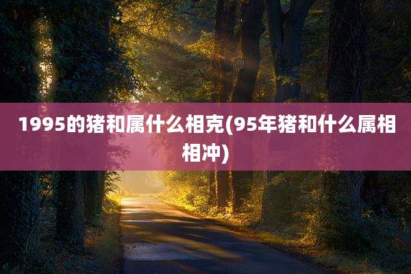 1995的猪和属什么相克(95年猪和什么属相相冲)