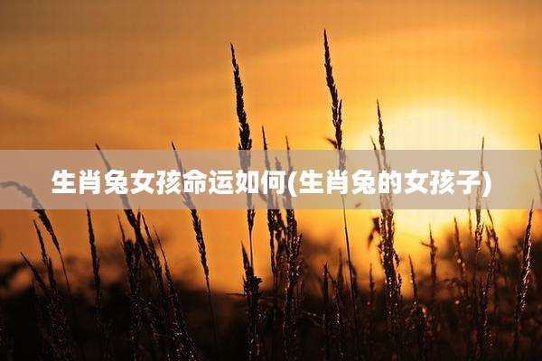 生肖兔女孩命运如何(生肖兔的女孩子)