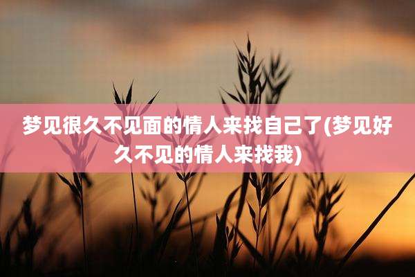梦见很久不见面的情人来找自己了(梦见好久不见的情人来找我)