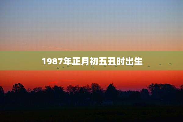 1987年正月初五丑时出生