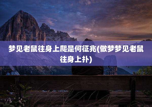 梦见老鼠往身上爬是何征兆(做梦梦见老鼠往身上扑)
