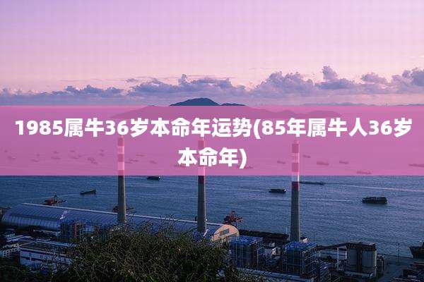 1985属牛36岁本命年运势(85年属牛人36岁本命年)