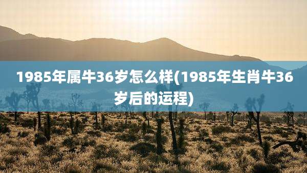 1985年属牛36岁怎么样(1985年生肖牛36岁后的运程)