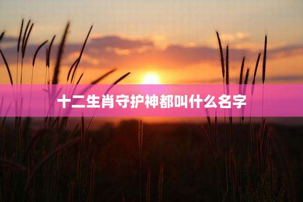 十二生肖守护神都叫什么名字