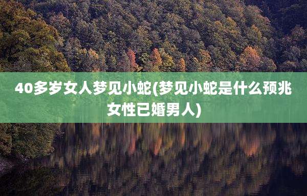 40多岁女人梦见小蛇(梦见小蛇是什么预兆女性已婚男人)