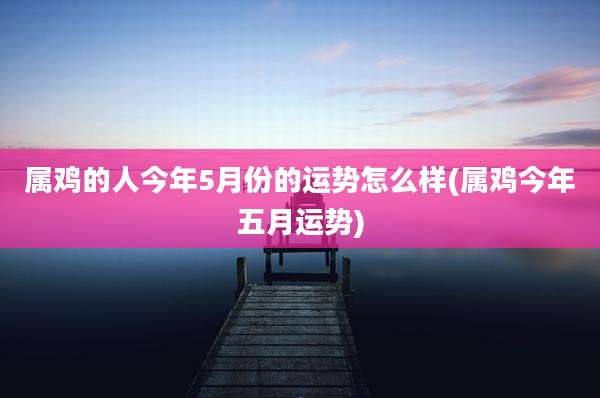 属鸡的人今年5月份的运势怎么样(属鸡今年五月运势)