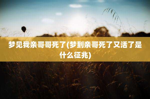 梦见我亲哥哥死了(梦到亲哥死了又活了是什么征兆)