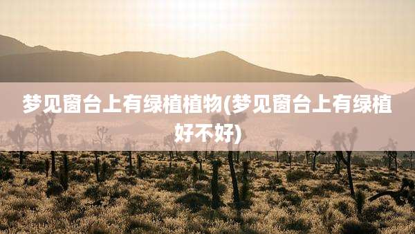 梦见窗台上有绿植植物(梦见窗台上有绿植好不好)