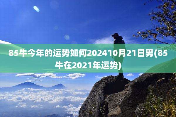 85牛今年的运势如何202410月21日男(85牛在2021年运势)