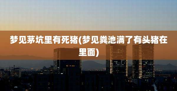 梦见茅坑里有死猪(梦见粪池满了有头猪在里面)