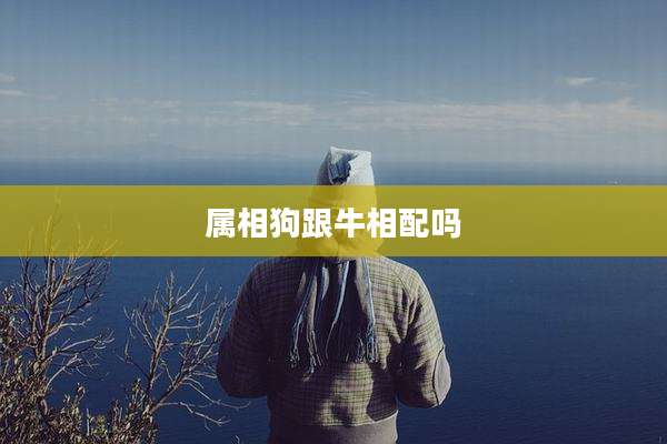 属相狗跟牛相配吗