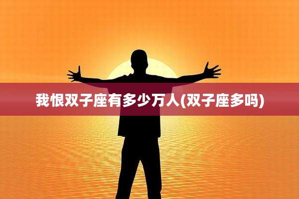 我恨双子座有多少万人(双子座多吗)