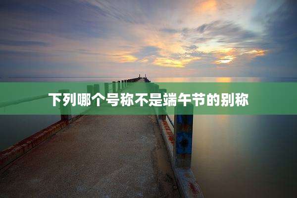 下列哪个号称不是端午节的别称