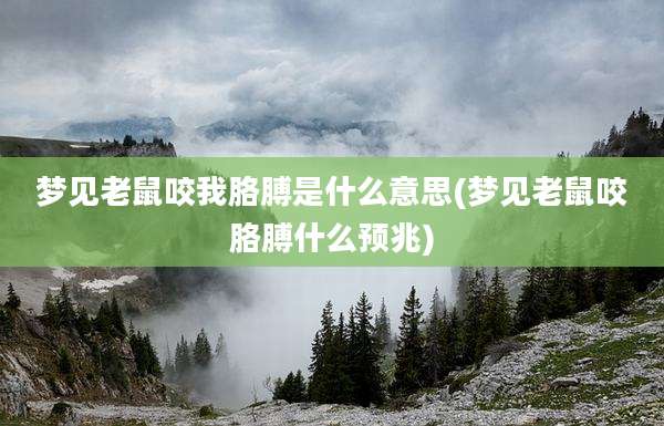 梦见老鼠咬我胳膊是什么意思(梦见老鼠咬胳膊什么预兆)