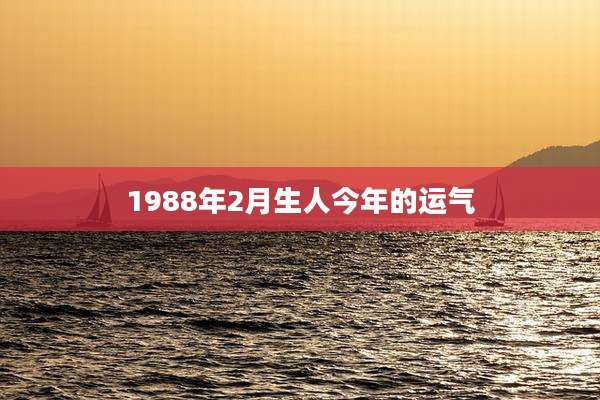1988年2月生人今年的运气