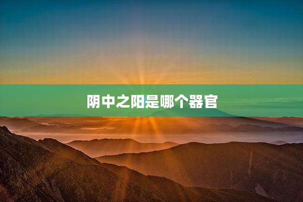 阴中之阳是哪个器官