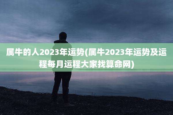 属牛的人2023年运势(属牛2023年运势及运程每月运程大家找算命网)