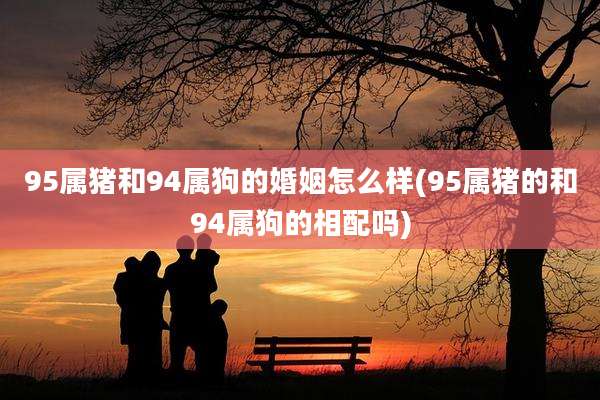 95属猪和94属狗的婚姻怎么样(95属猪的和94属狗的相配吗)