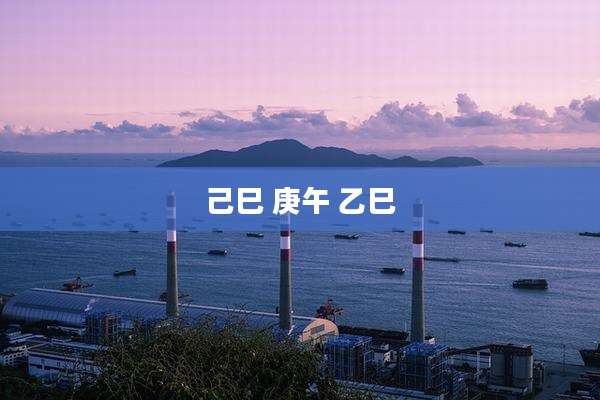 己巳 庚午 乙巳