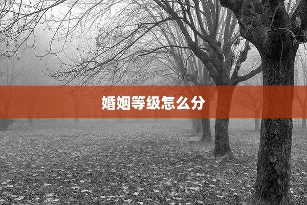 婚姻等级怎么分